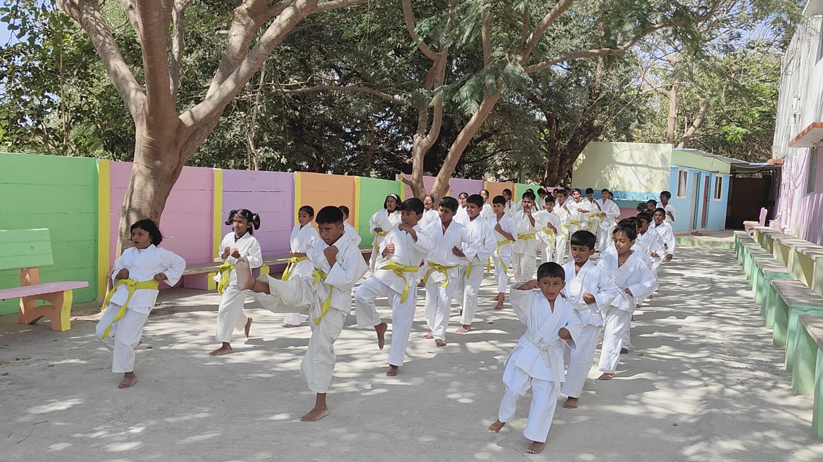karate Day Celebration's